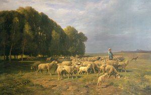 Kudde schapen in een landschap